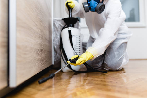 Best Best Pest Control Companies  in South Creek, WA