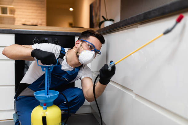 Best Affordable Pest Control Services  in South Creek, WA