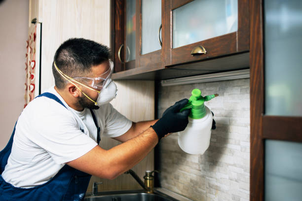Best Local Pest Control Services  in South Creek, WA