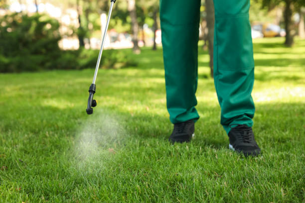 Best Termite Control Services  in South Creek, WA