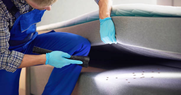 Best Pest Prevention Services  in South Creek, WA