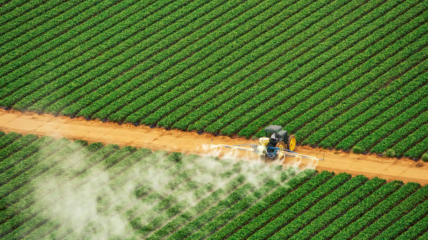 Best Mosquito Control Services  in South Creek, WA