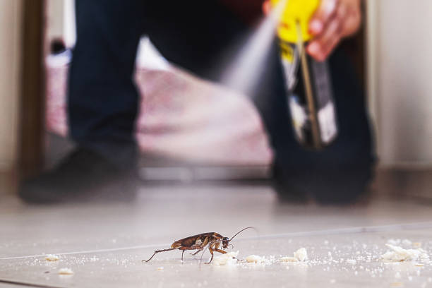 Best Pest Control for Businesses  in South Creek, WA