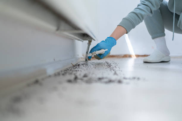 Best Cockroach Control Services  in South Creek, WA