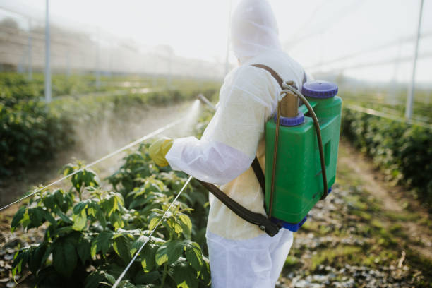 Best Residential Pest Control  in South Creek, WA